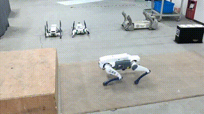 Quadruped robot parkour